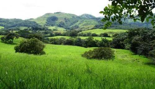 Granja de 72 Hect