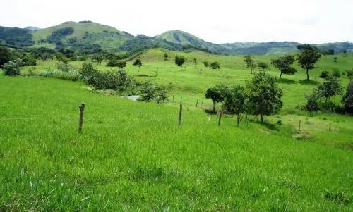 Granja de 72 Hect