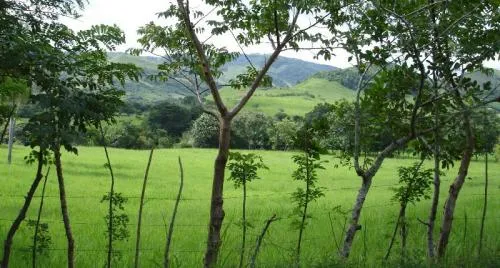 Granja de 72 Hect