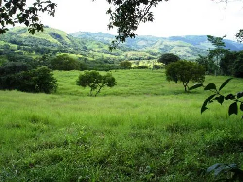 Granja de 72 Hect