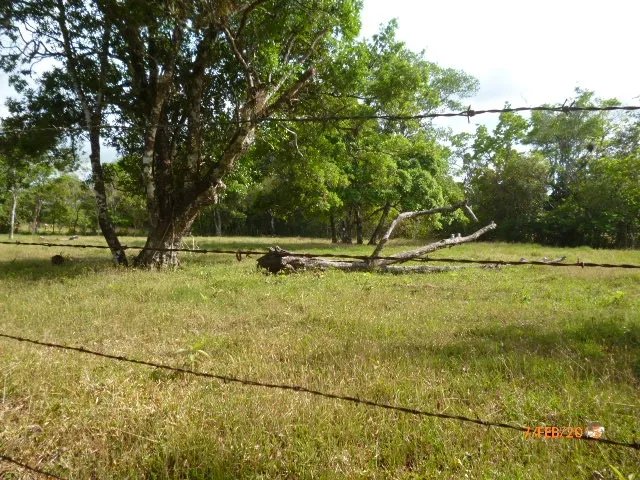 Small flat farm 15 minutes from David
