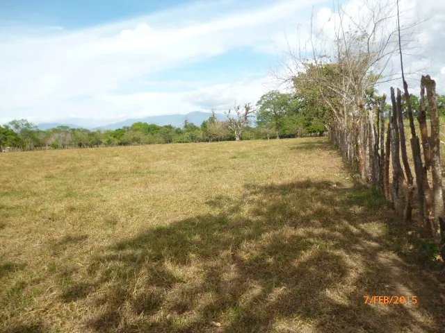 Small flat farm 15 minutes from David
