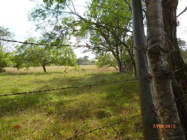 Granja peque