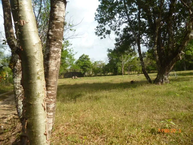 Granja peque
