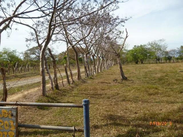 Granja peque
