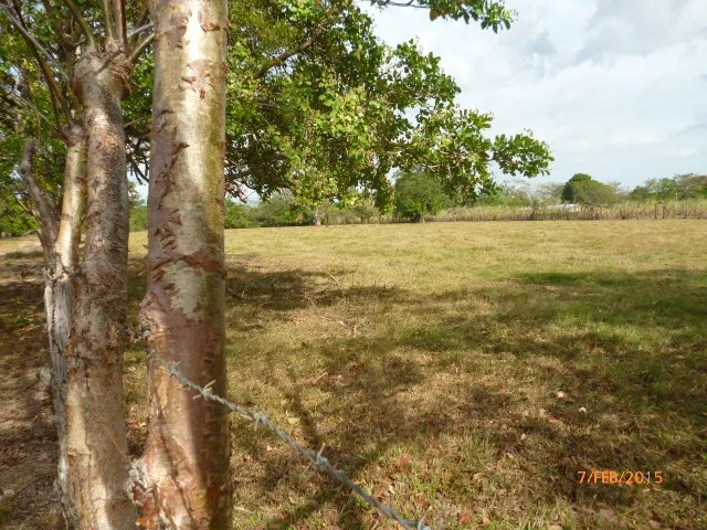 Granja peque