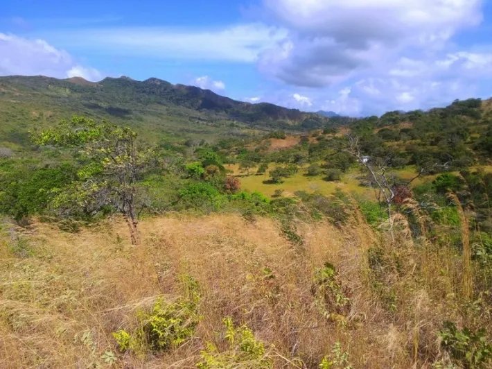 Mountain and river views:  8.7 hectares, just 5 minutes from Santa Fe