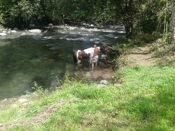 Hermoso r