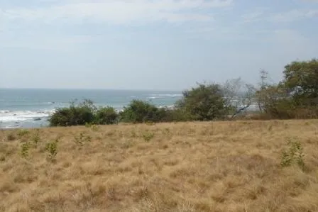 Frente de Playa en Pedasi con 42 hectareas ideal para Desarrollo