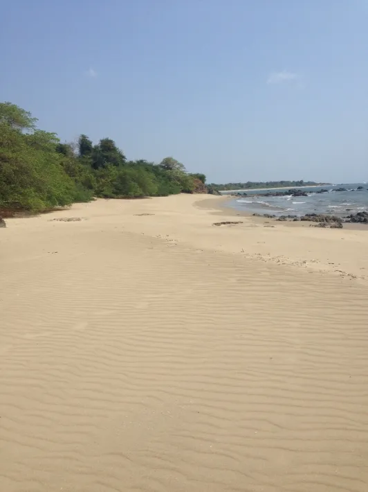 Frente de Playa en Pedasi con 42 hectareas ideal para Desarrollo