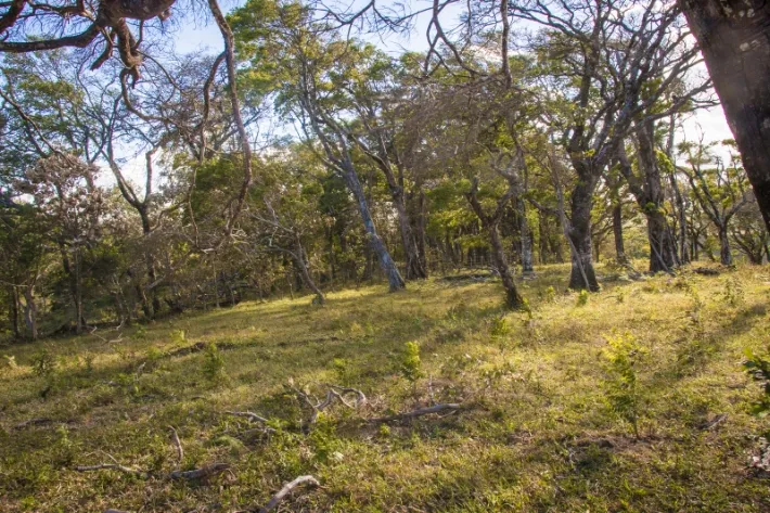 Precioso piso de la granja en el r