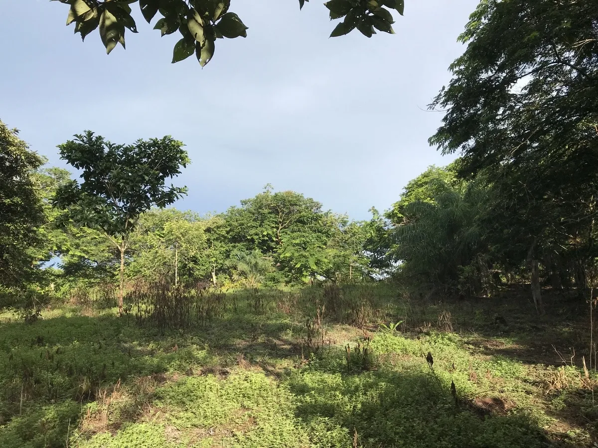 2 hectares en San Félix, Chiriqui