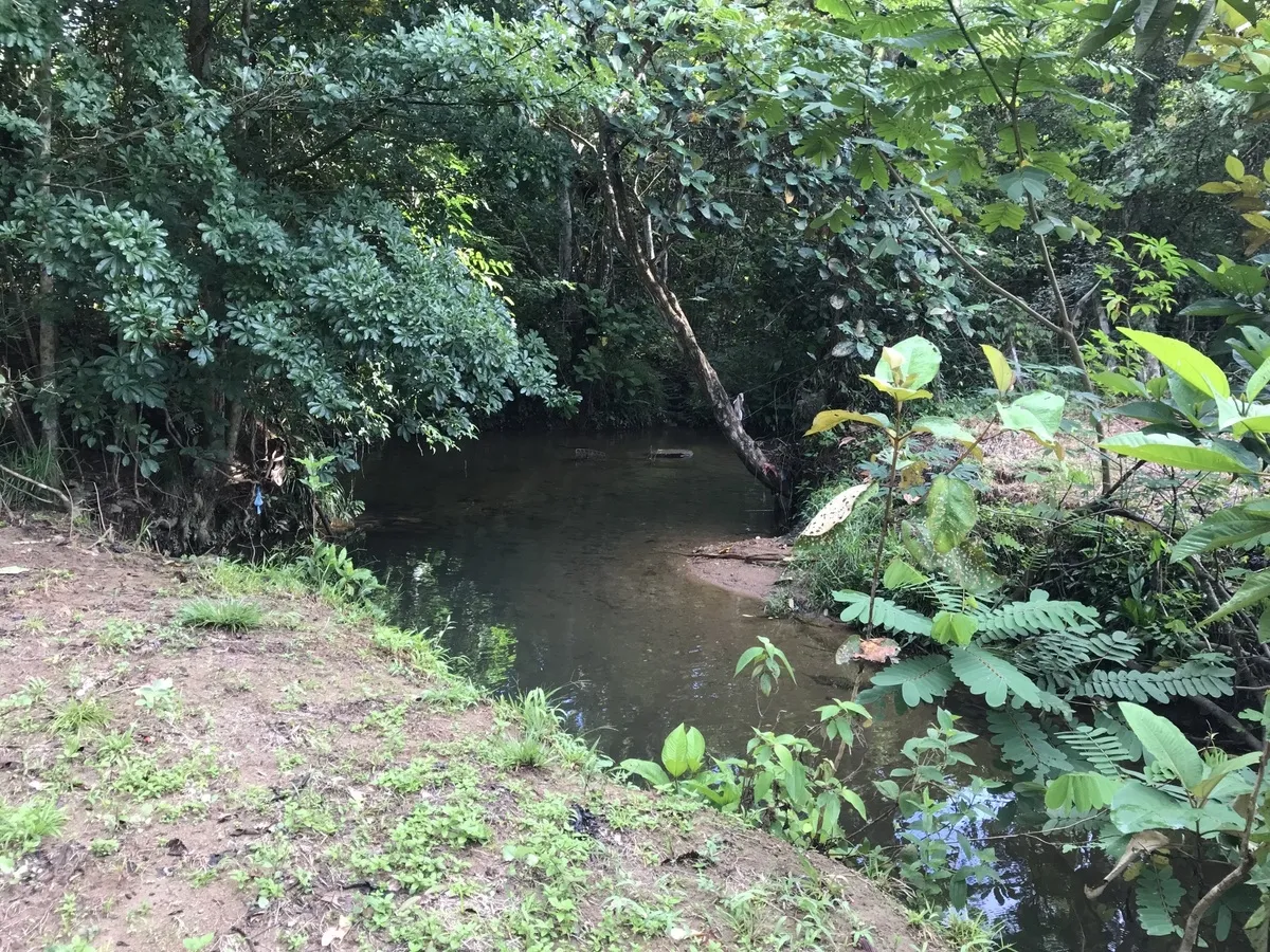 2 hectares en San Félix, Chiriqui
