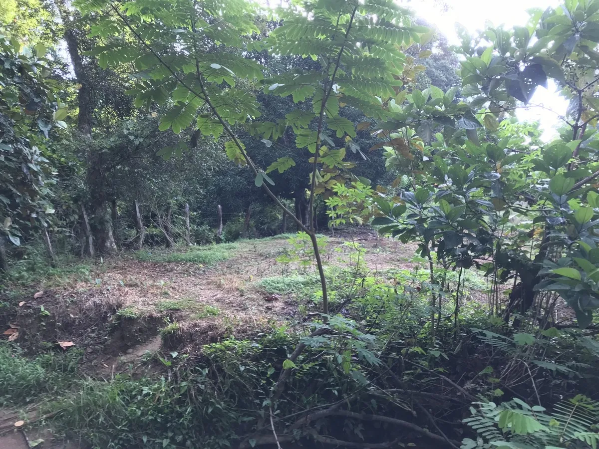 2 hectares en San Félix, Chiriqui