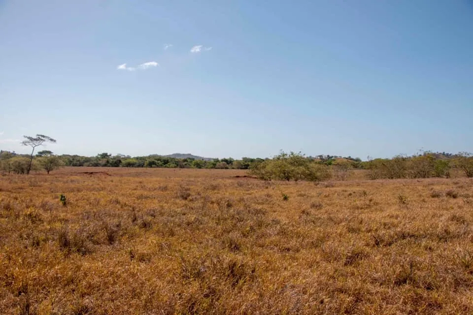 SE VENDE GRAN TERRENO EN AGUAS BLANCAS, VERAGUAS. DE 55 HECTAREAS