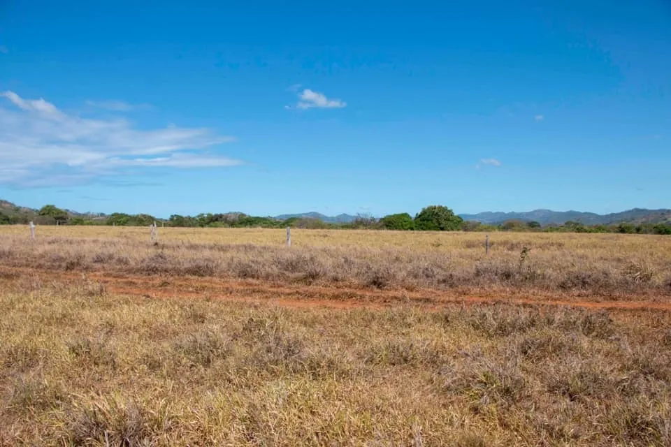 SE VENDE GRAN TERRENO EN AGUAS BLANCAS, VERAGUAS. DE 55 HECTAREAS
