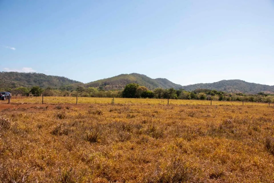 SE VENDE GRAN TERRENO EN AGUAS BLANCAS, VERAGUAS. DE 55 HECTAREAS