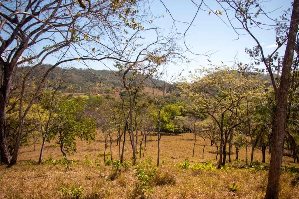 SE VENDE GRAN TERRENO EN AGUAS BLANCAS, VERAGUAS. DE 55 HECTAREAS