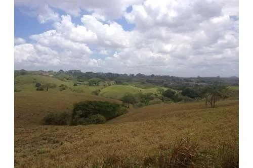 SE VENDE TERRENO EN PLAYA LEONA, LA CHORRERA. PANAMÁ. 143 HECTARÉAS