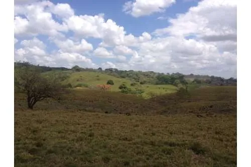 SE VENDE TERRENO EN PLAYA LEONA, LA CHORRERA. PANAMÁ. 143 HECTARÉAS