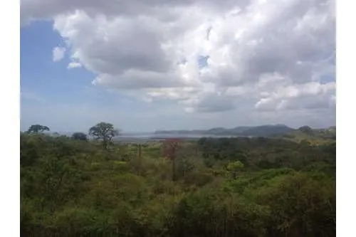 SE VENDE TERRENO EN PLAYA LEONA, LA CHORRERA. PANAMÁ. 143 HECTARÉAS