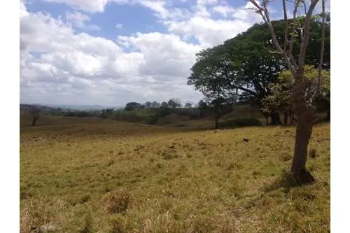 SE VENDE TERRENO EN PLAYA LEONA, LA CHORRERA. PANAMÁ. 143 HECTARÉAS