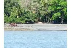 SE VENDE ESPECTACULAR PROPIEDAD EN PLAYA EL GATO