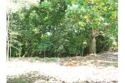 SE VENDE ESPECTACULAR PROPIEDAD EN PLAYA EL GATO