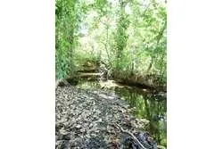 SE VENDE ESPECTACULAR PROPIEDAD EN PLAYA EL GATO