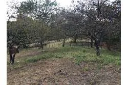 Se Vende Terreno en Santa Catalina, Veraguas. Panamá.