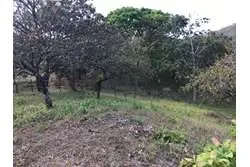 Se Vende Terreno en Santa Catalina, Veraguas. Panamá.