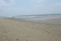 42 hectareas frente a playa en Playa Chumico Pedasi