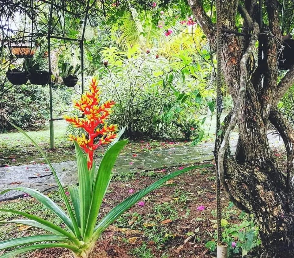 Se vende bed & breakfast ubicado en el valle de anton, el copecito, san carlos, Panama
