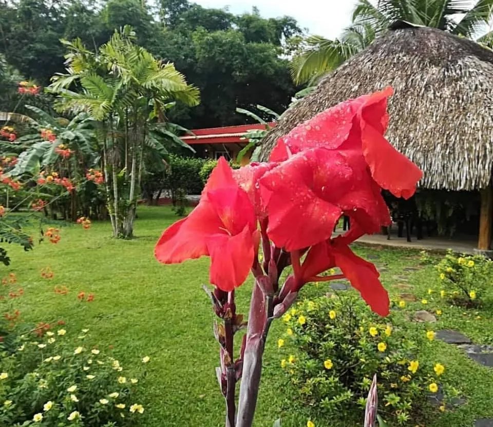Se vende bed & breakfast ubicado en el valle de anton, el copecito, san carlos, Panama