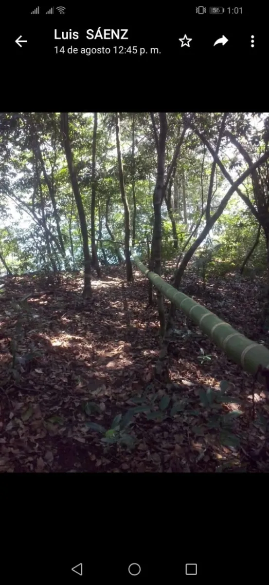 SE VENDE 3 ISLOTES FRENTE A BAHIA ONDA, SONÁ. PERFECTO PARA INVERTIR