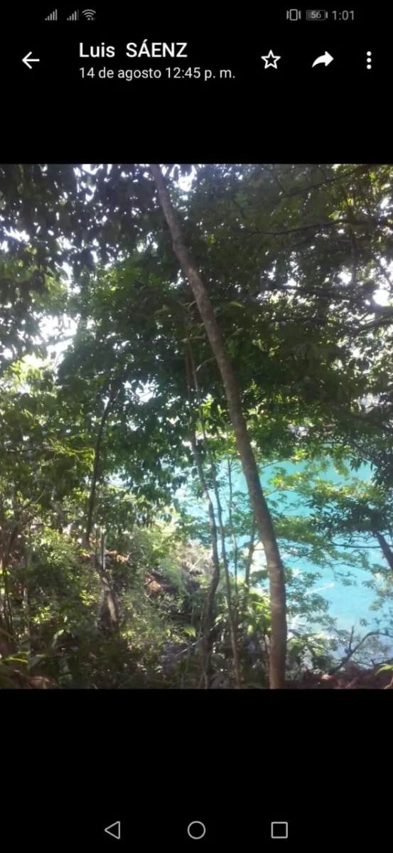 SE VENDE 3 ISLOTES FRENTE A BAHIA ONDA, SONÁ. PERFECTO PARA INVERTIR