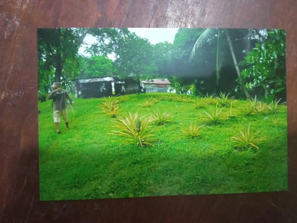 ISLA DE 17 HECTÁREAS EN VENTA EN VERAGUAS.