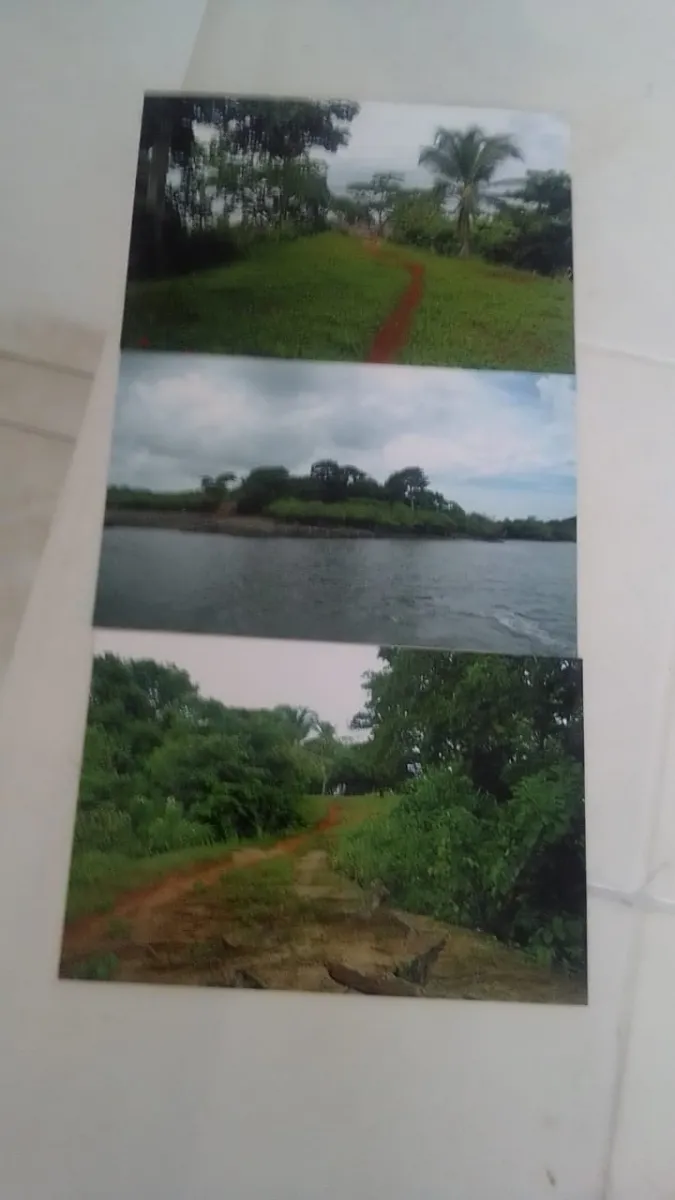 ISLA DE 17 HECTÁREAS EN VENTA EN VERAGUAS.