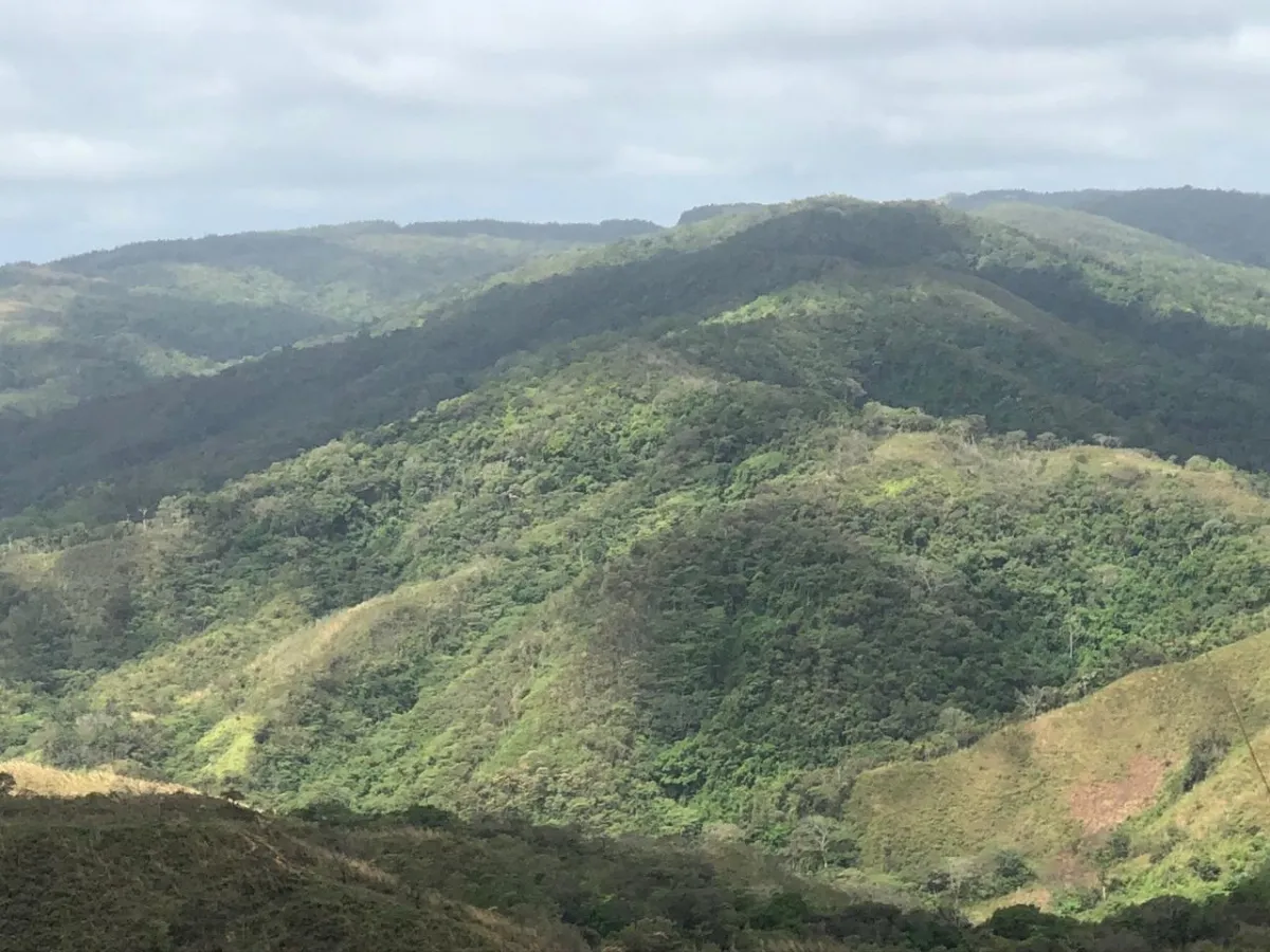 Terreno/Granja en Venta en Los Pozos