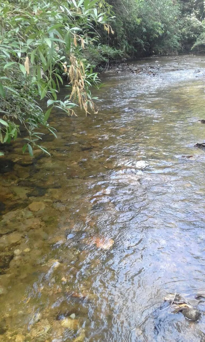 FINCA EN VENTA EN LA ONDA, LA PITALOZA, LOS POZOS, PROVINCIA DE HERRERA. 53 HECTÁREAS DE TERRENO.