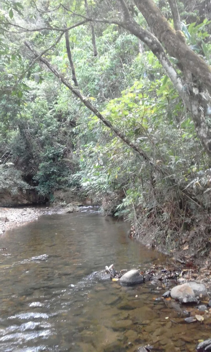 FINCA EN VENTA EN LA ONDA, LA PITALOZA, LOS POZOS, PROVINCIA DE HERRERA. 53 HECTÁREAS DE TERRENO.