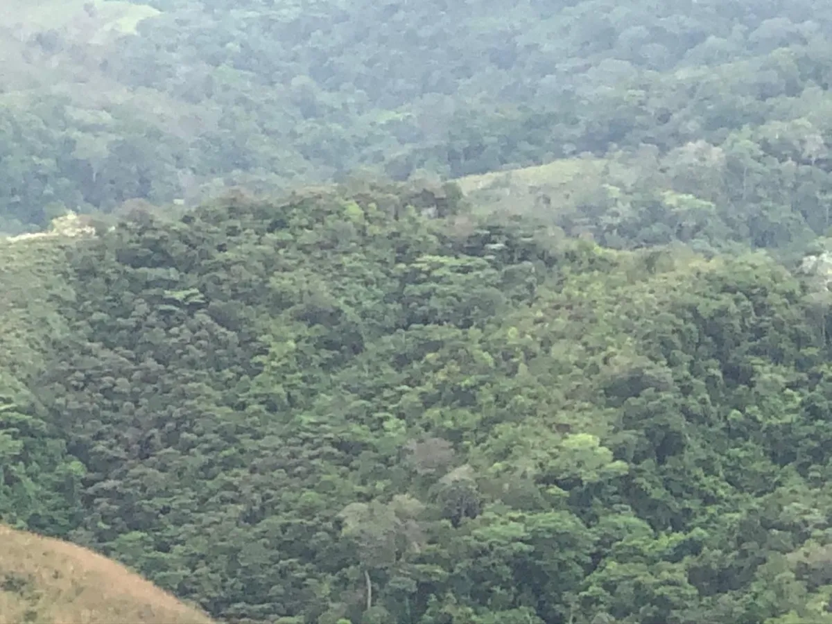 FINCA EN VENTA EN LA ONDA, LA PITALOZA, LOS POZOS, PROVINCIA DE HERRERA. 53 HECTÁREAS DE TERRENO.