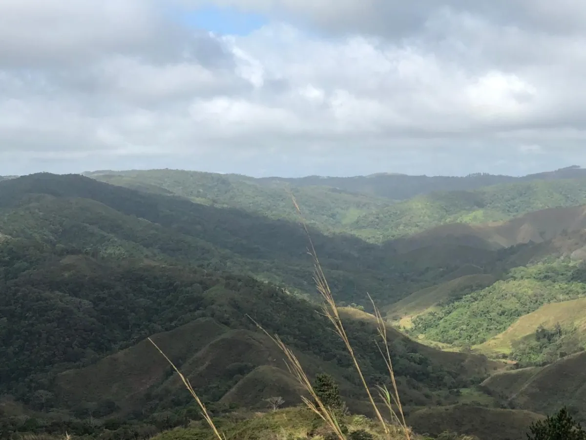 FINCA EN VENTA EN LA ONDA, LA PITALOZA, LOS POZOS, PROVINCIA DE HERRERA. 53 HECTÁREAS DE TERRENO.