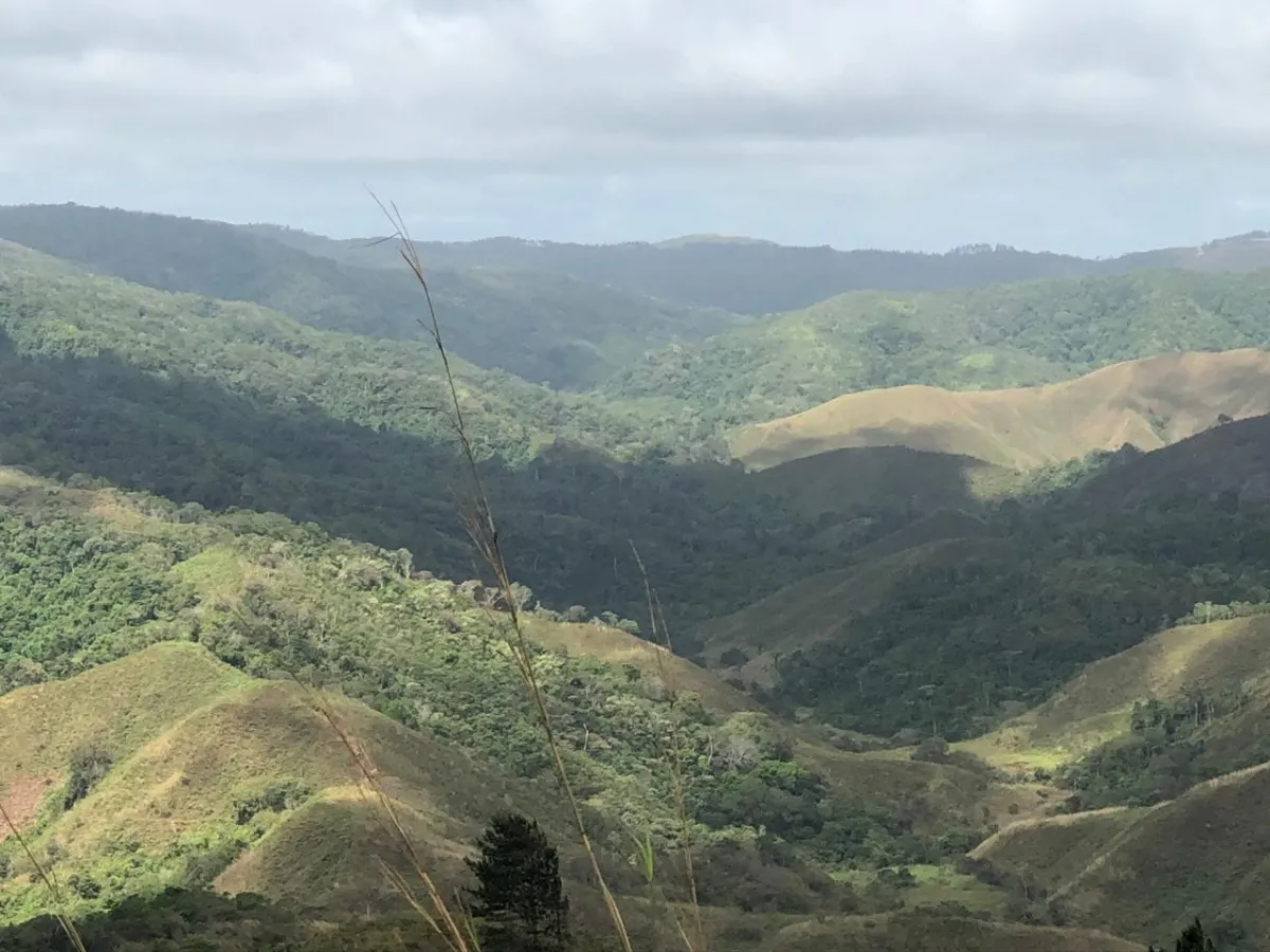 FINCA EN VENTA EN LA ONDA, LA PITALOZA, LOS POZOS, PROVINCIA DE HERRERA. 53 HECTÁREAS DE TERRENO.