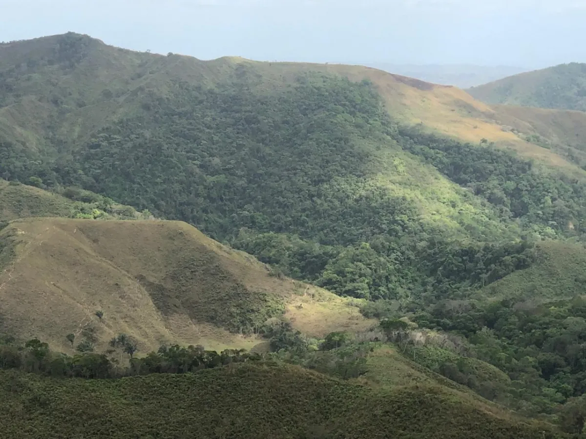 Terreno/Granja en Venta en Los Pozos