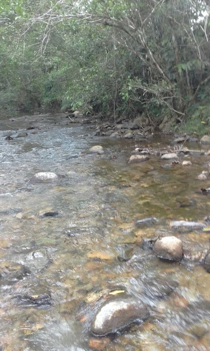 Terreno/Granja en Venta en Los Pozos