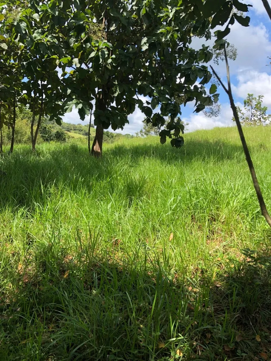 Terreno/Granja en Venta en Los Pozos