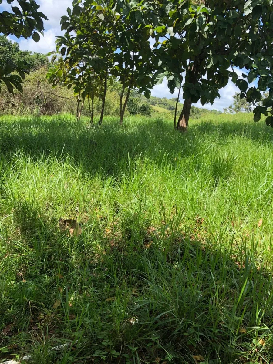 Terreno/Granja en Venta en Los Pozos