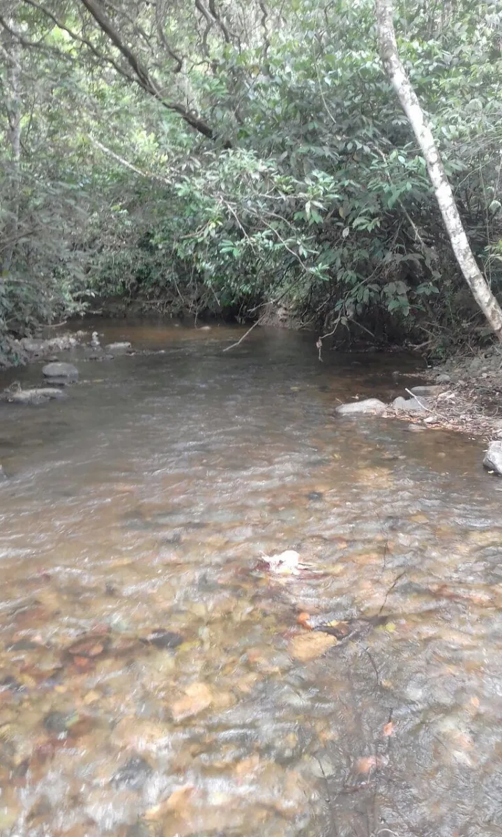 Terreno/Granja en Venta en Los Pozos