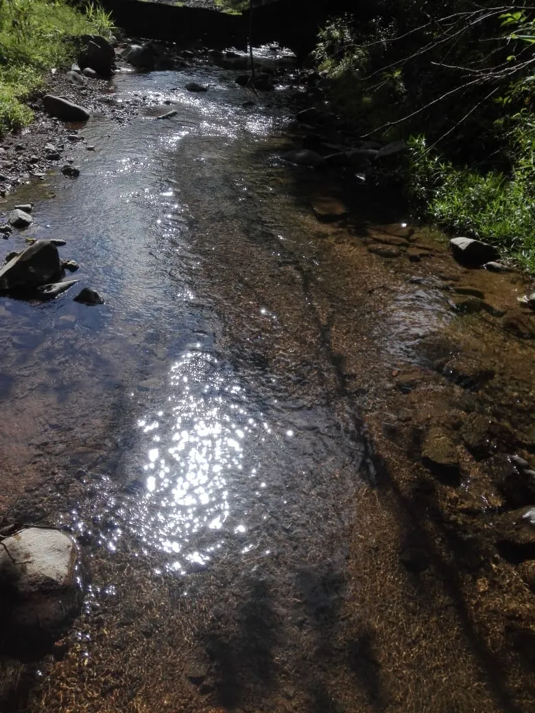Terreno en venta en Llano de Piedra, comunidad de Bombachito, Provincia de Los Santos. 93.90 Acres (38 HA).